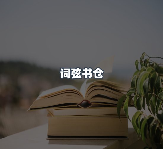 关于词弦书仓